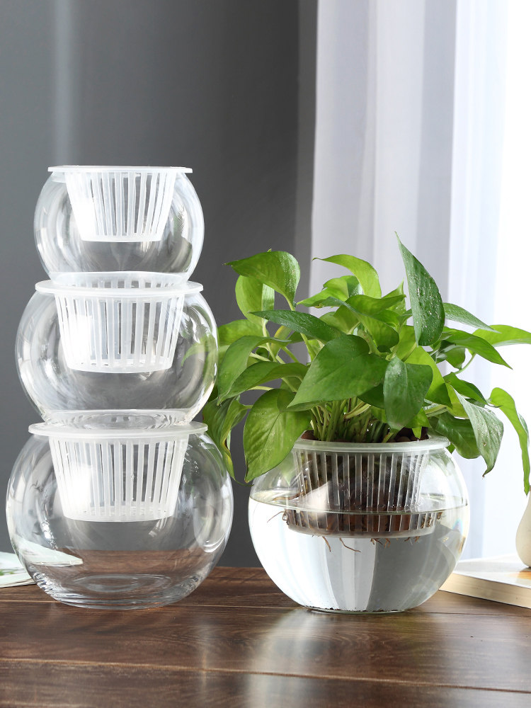 Propagation Station Vase - Jarrón de Vidrio Hidropónico, Florero de