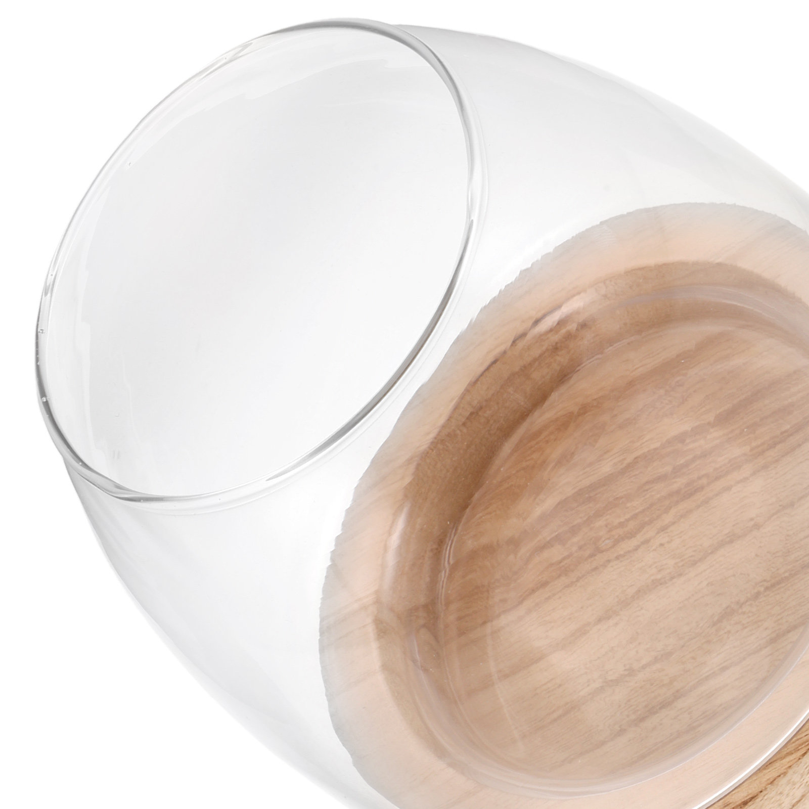 Jarrón hidropónico para planta - Propagation Station Vase reseña y precio