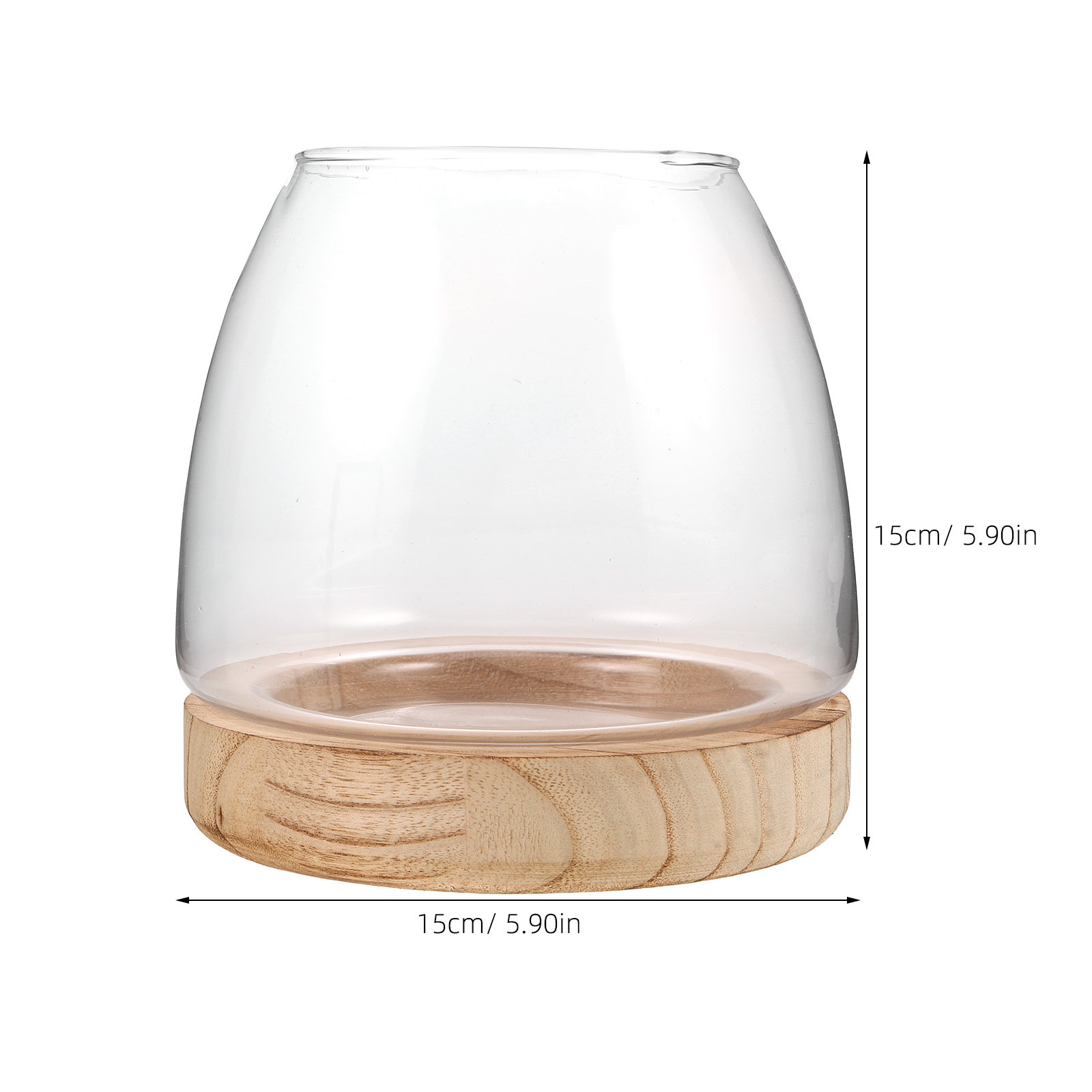 Jarrón hidropónico para planta - Propagation Station Vase reseña y precio