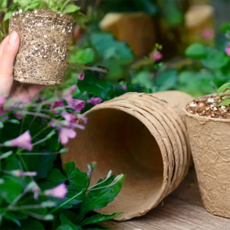 50 unidades de macetas redonda - Peat Pellet Tray reseña y precio