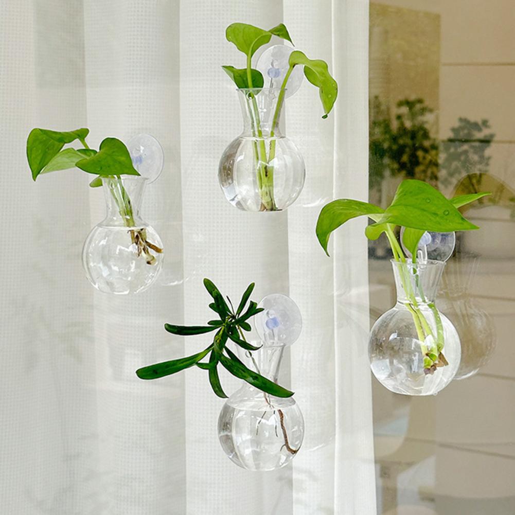 1/2/3/4/6/8 Piezas Bulbo de Pr - Propagation Station Vase reseña y precio