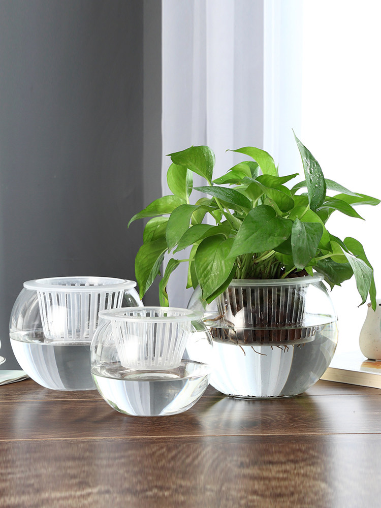 Jarrón de Vidrio Hidropónico,  - Propagation Station Vase reseña y precio