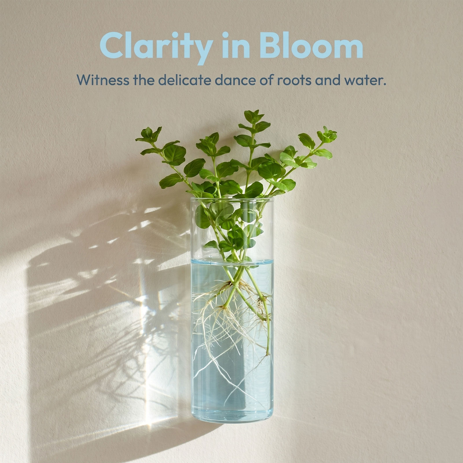 5 unidades de macetas cilíndri - Propagation Station Vase reseña y precio